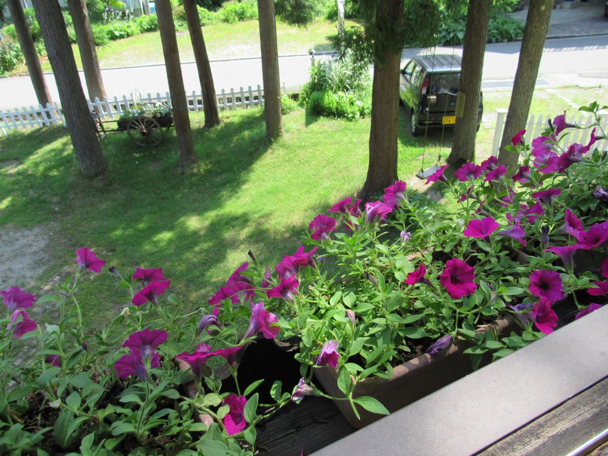 ペンション ちゃうちゃう Bed & Breakfast Hakuba Eksteriør bilde