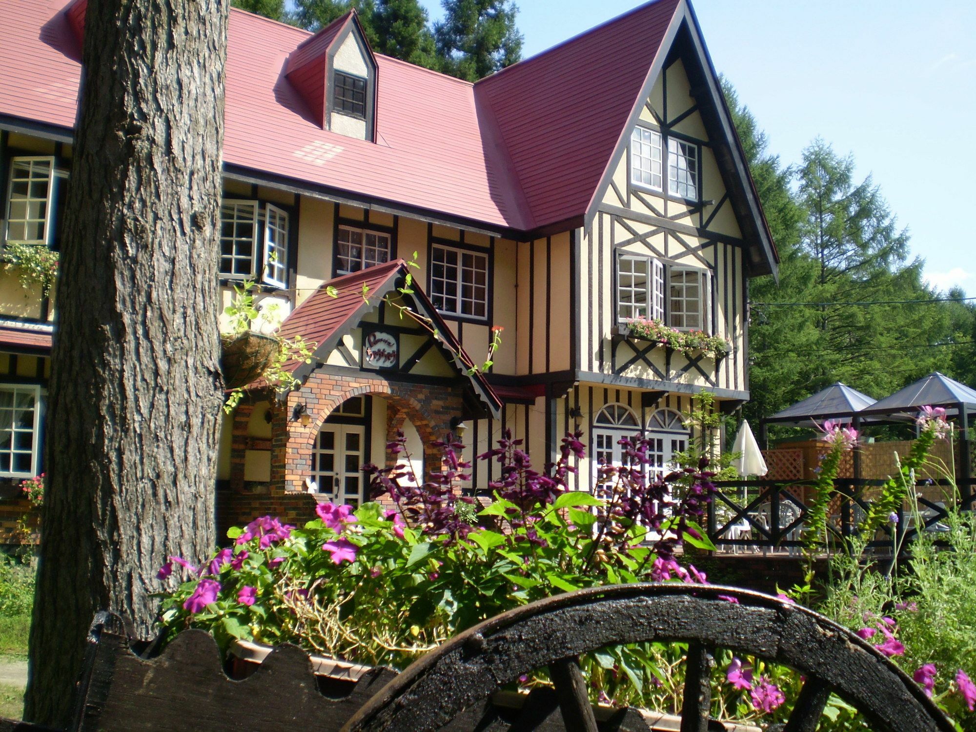ペンション ちゃうちゃう Bed & Breakfast Hakuba Eksteriør bilde